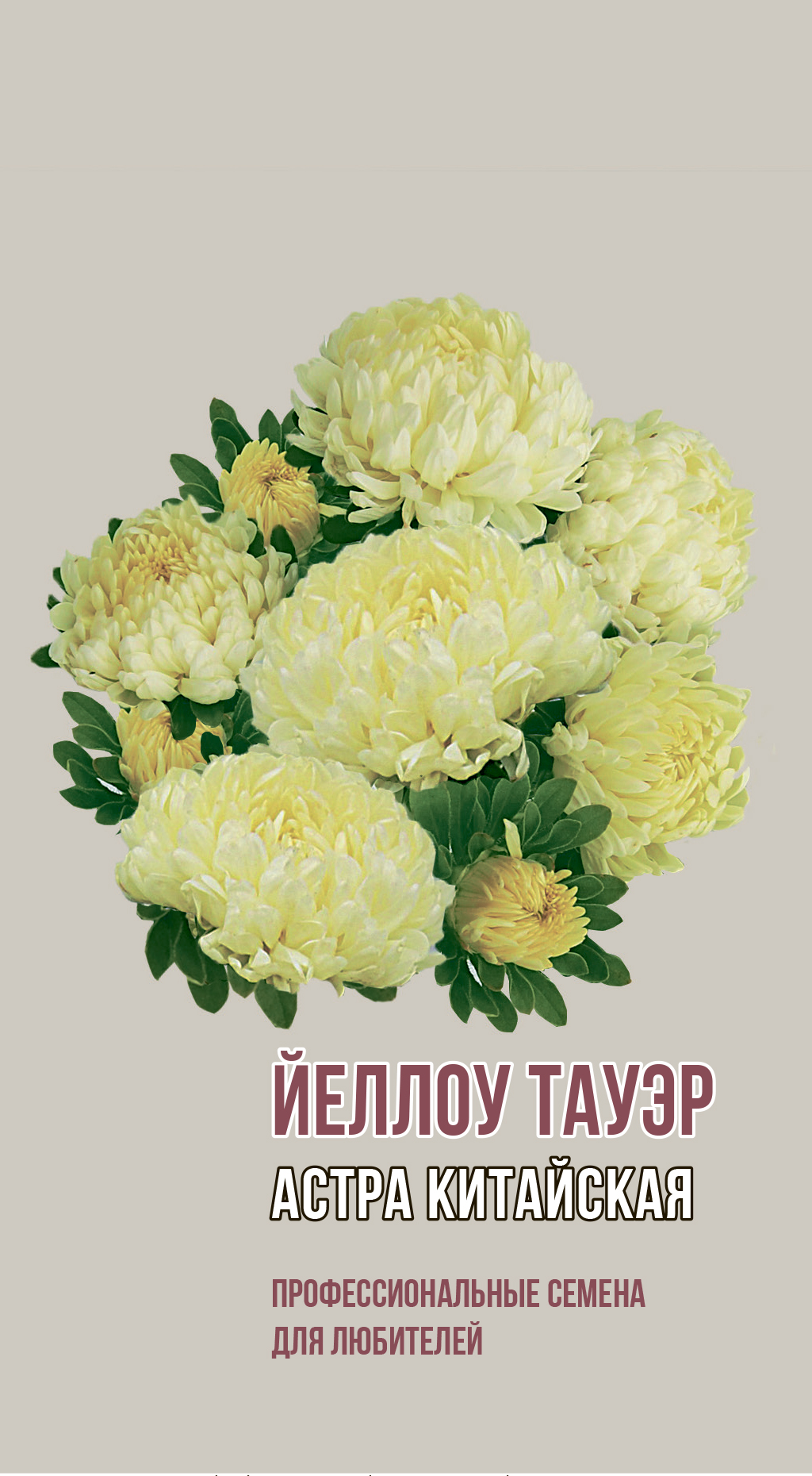 Астра китайская ЙЕЛЛОУ ТАУЭР 0,2г
