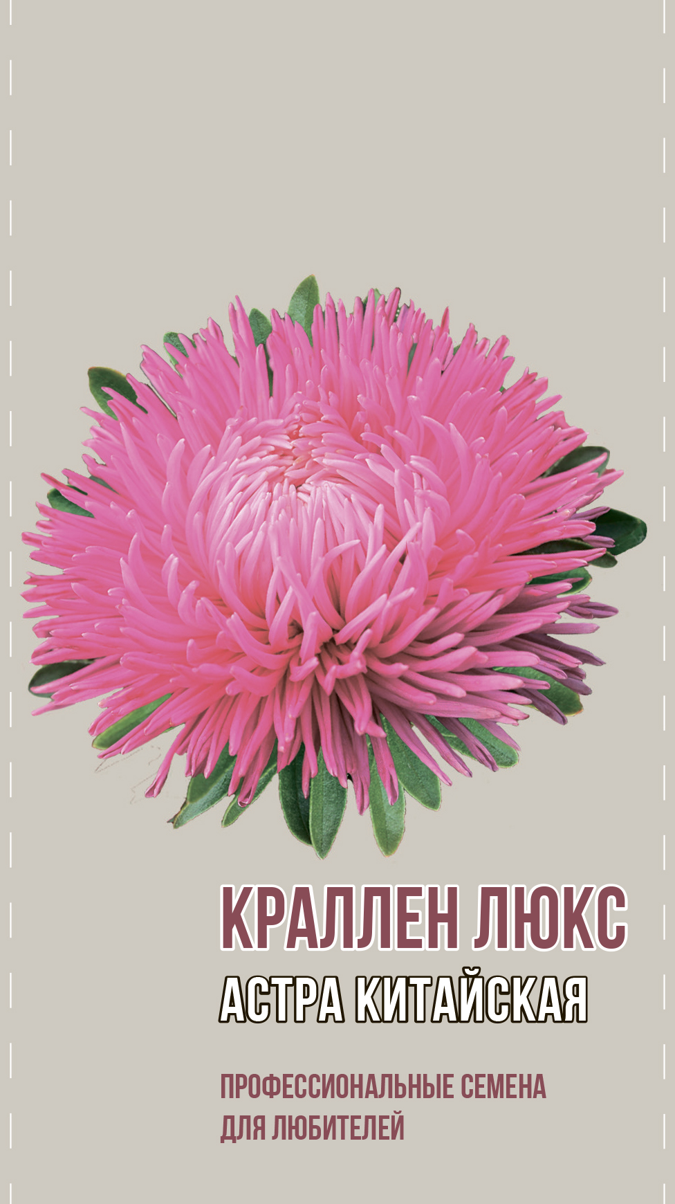 Астра китайская КАРАЛЛЕН ЛЮКС 0,2г