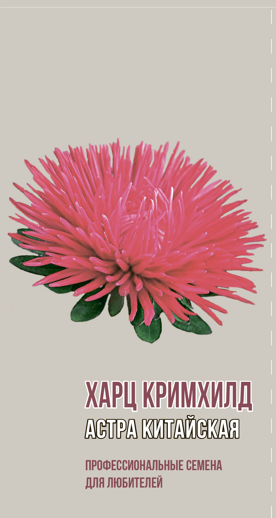 Астра китайская ХАРЦ КРИМХИЛД 0,2г