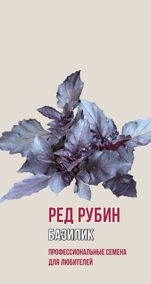 Базилик РЕД РУБИН (1г)