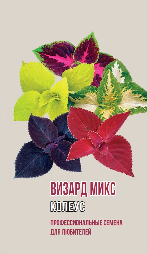 Колеус ВИЗАРД МИКС 5 шт (ц/п 4626)