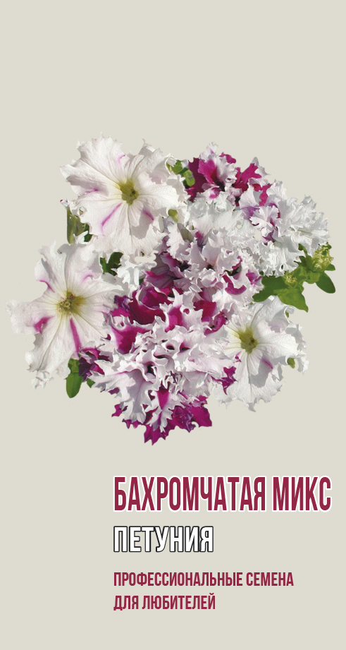 Петуния БАХРОМЧАТАЯ МИКС 5шт (ц/п 5586)